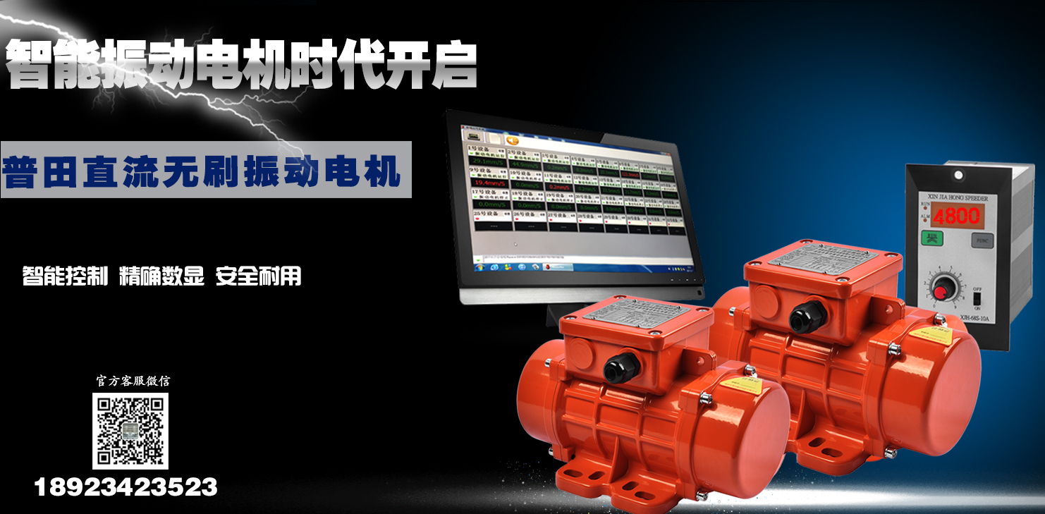 湖北高頻振動(dòng)電機(jī)